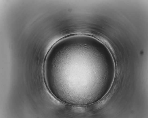 X0000089360855200706221158