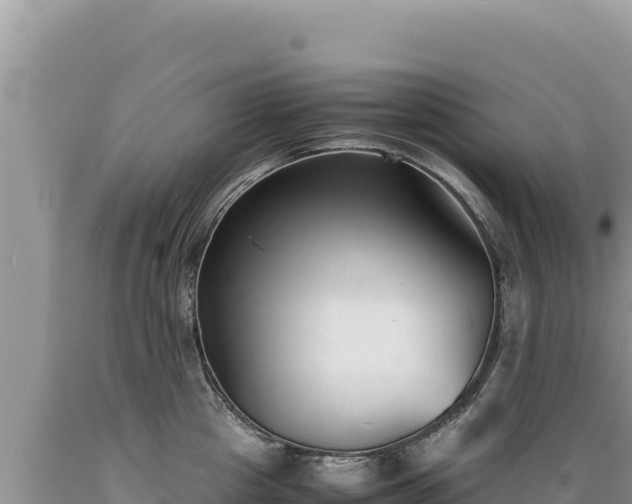 X0000089360857200706221158