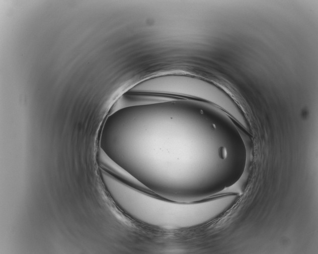 X0000089360858200706221158