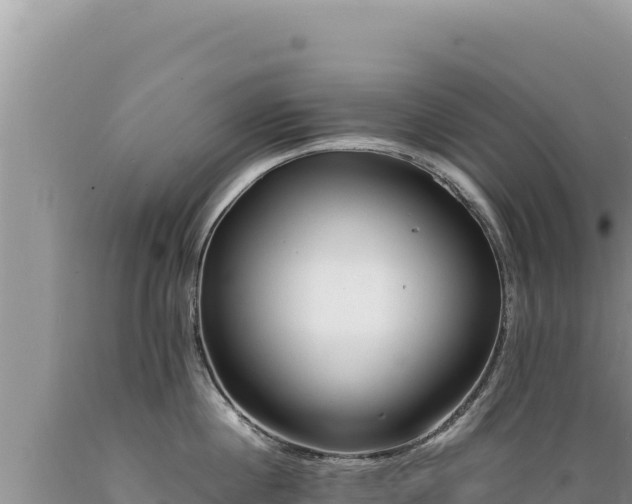 X0000089360860200706221159