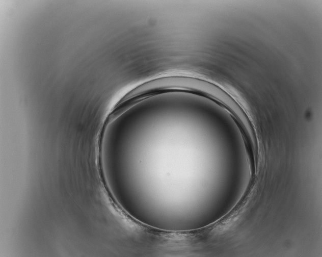 X0000089360862200706221159