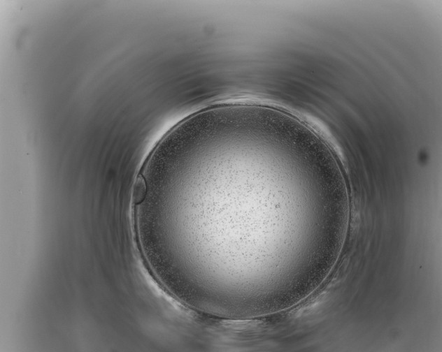 X0000089360863200706221159