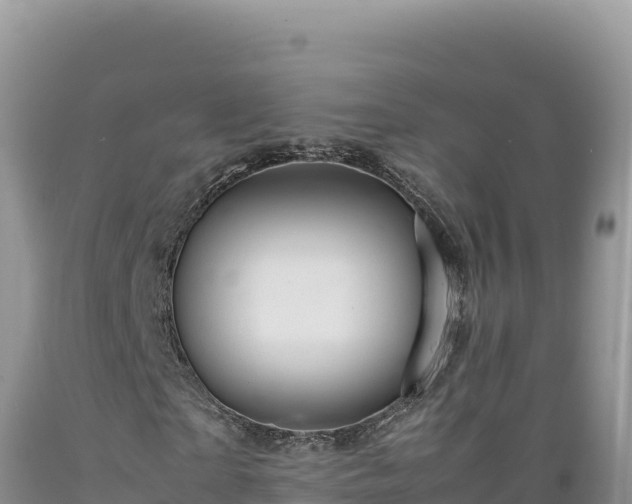 X0000089360865200706221158