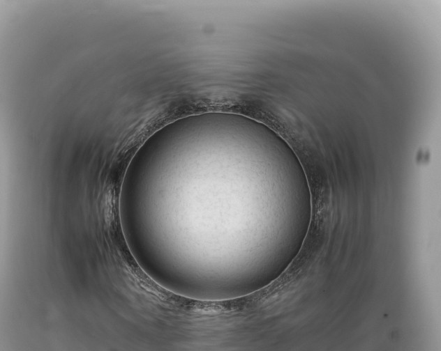 X0000089360866200706221158