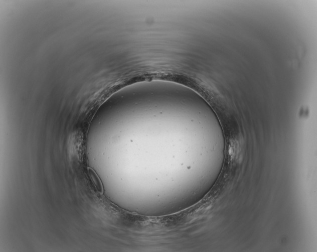 X0000089360867200706221158