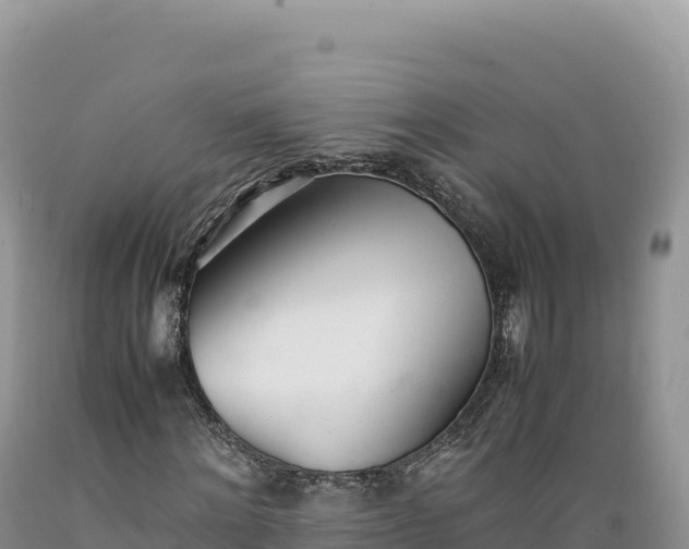 X0000089360868200706221158