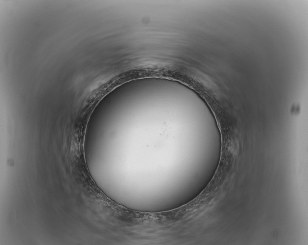 X0000089360869200706221158