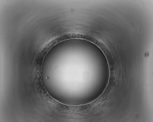 X0000089360870200706221158