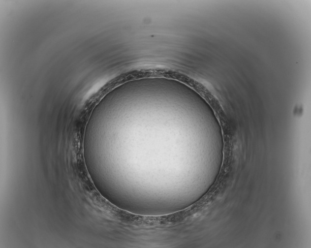 X0000089360871200706221158