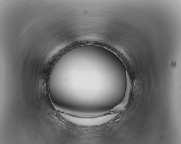 X0000089360872200706221158
