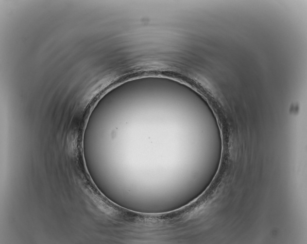 X0000089360873200706221158