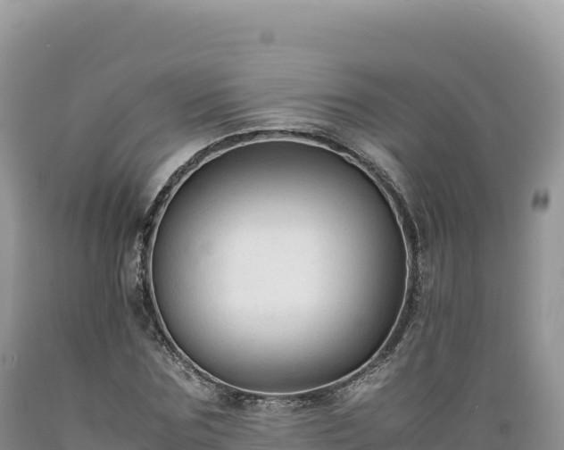 X0000089360875200706221158