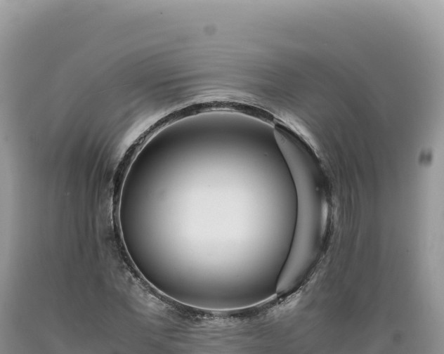 X0000089360877200706221158