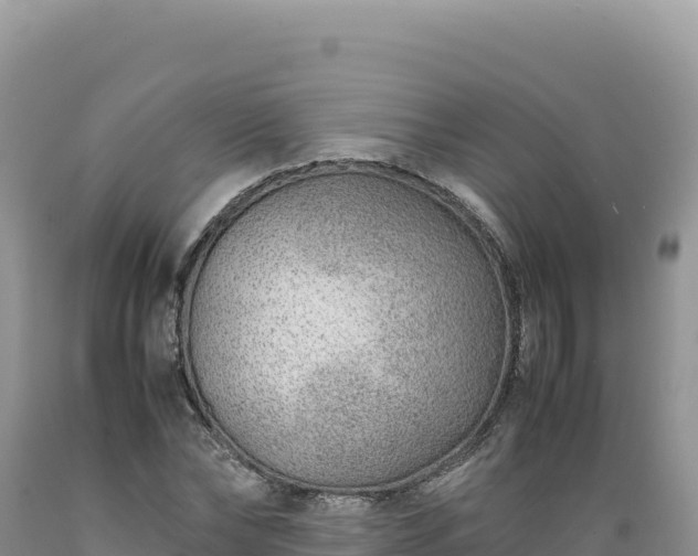 X0000089360878200706221158