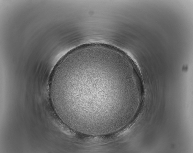 X0000089360879200706221158