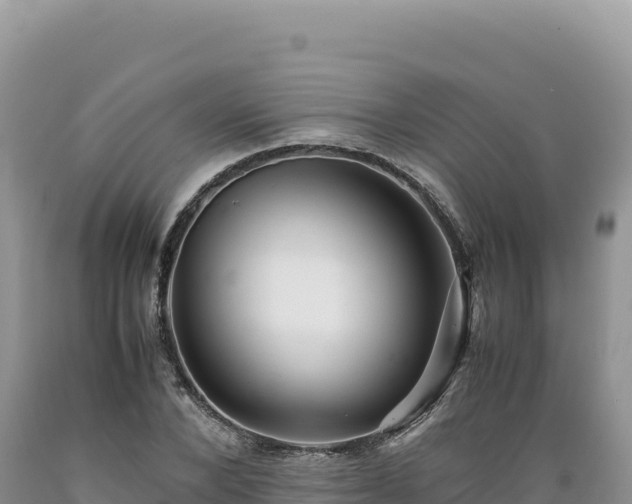 X0000089360880200706221158