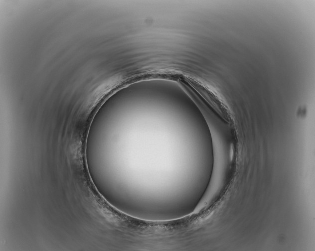 X0000089360881200706221158