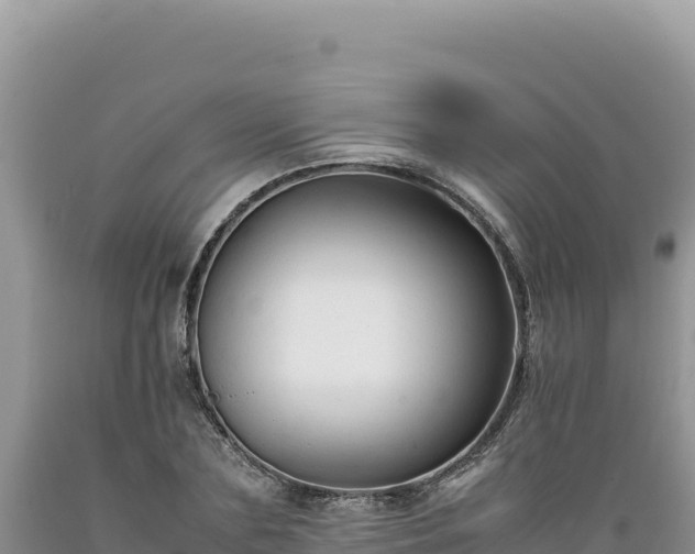 X0000089360883200706221158