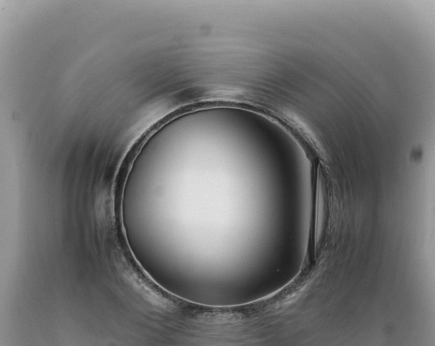 X0000089360884200706221158