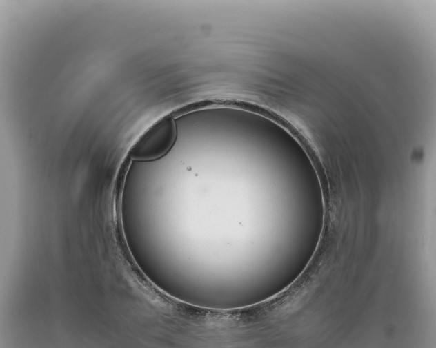X0000089360887200706221158