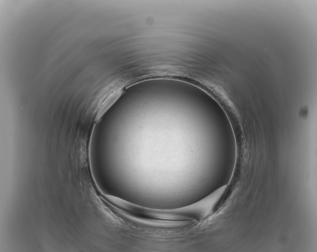 X0000089360889200706221158