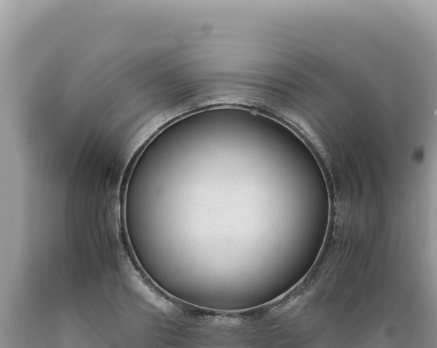 X0000089360890200706221158