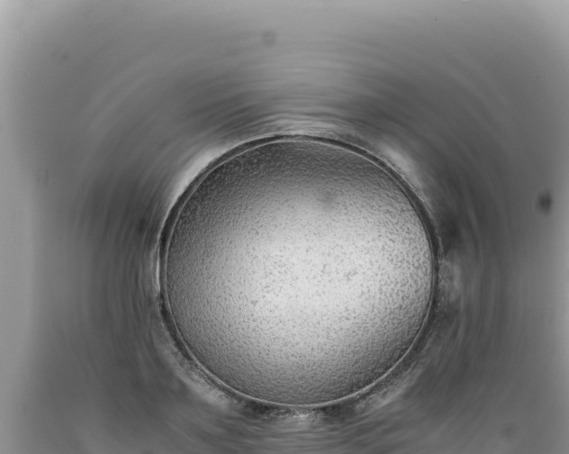 X0000089360891200706221158