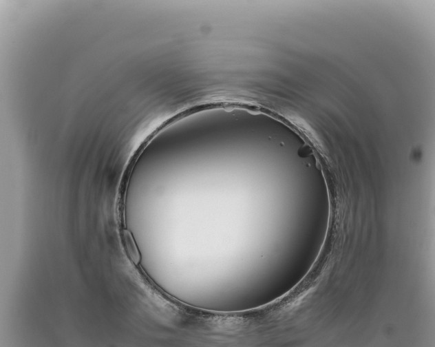 X0000089360893200706221158