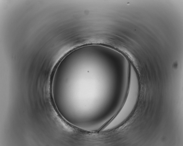 X0000089360894200706221158