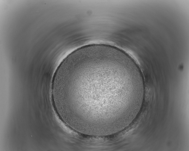 X0000089360895200706221158