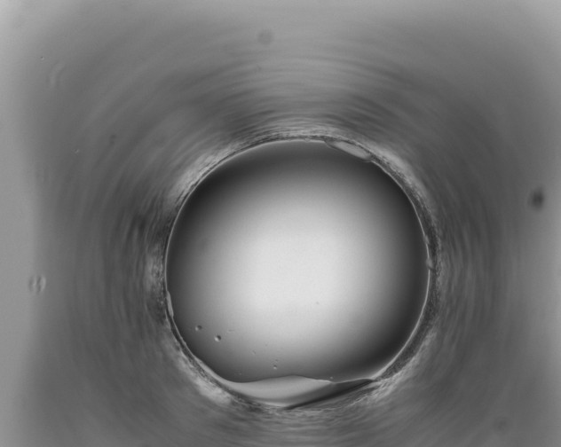 X0000089360897200706221158