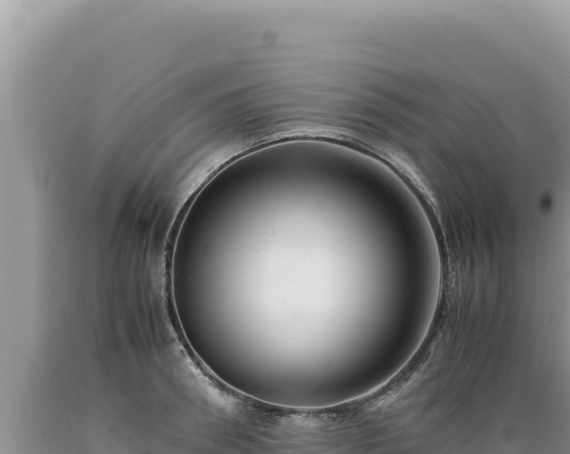 X0000089360898200706221158