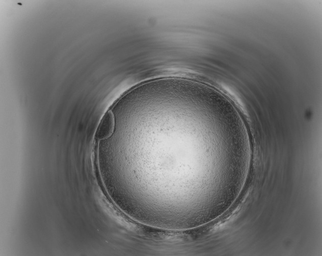 X0000089360899200706221158