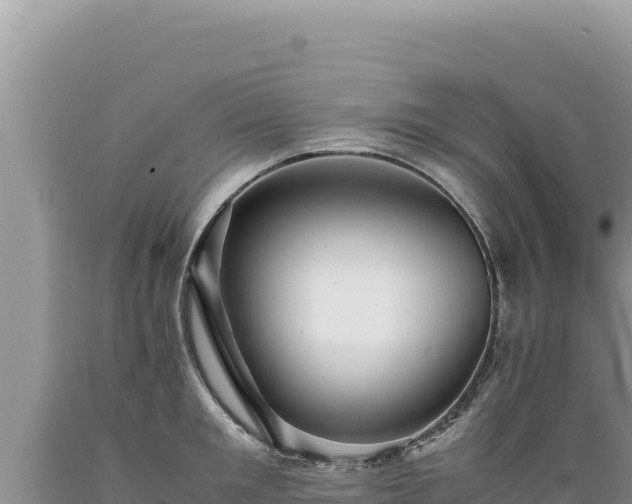 X0000089360901200706221158
