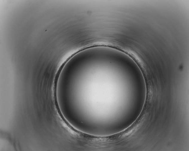 X0000089360902200706221158