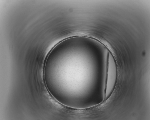 X0000089360904200706221157
