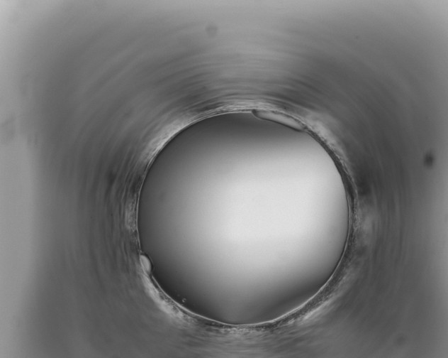 X0000089360905200706221157