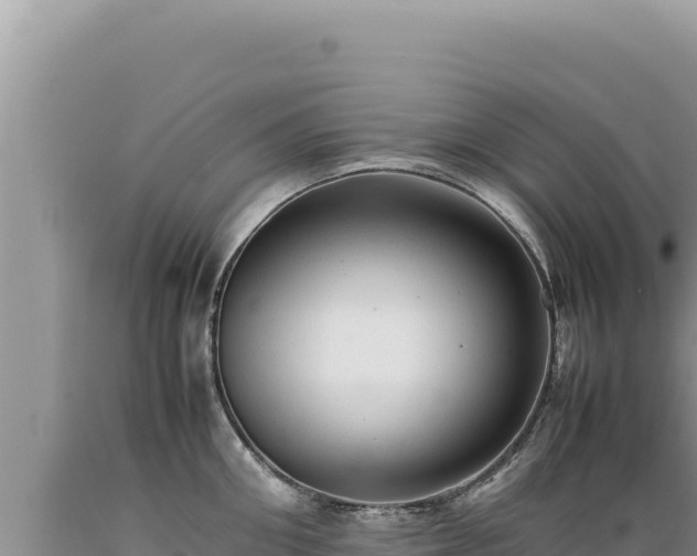 X0000089360906200706221157