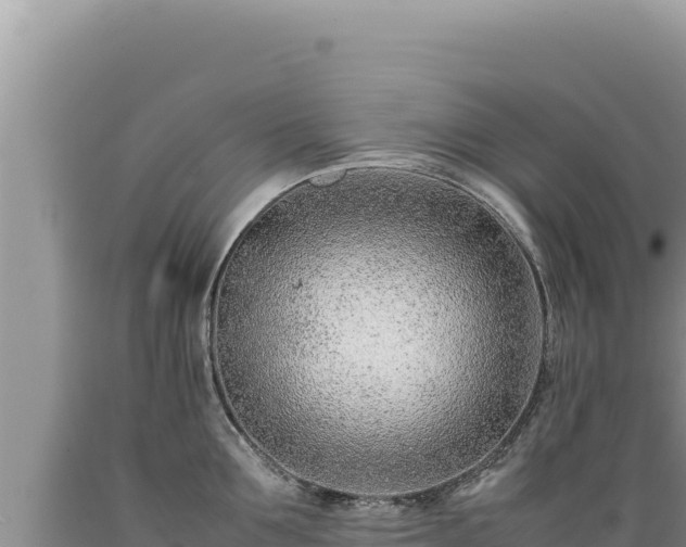 X0000089360907200706221157