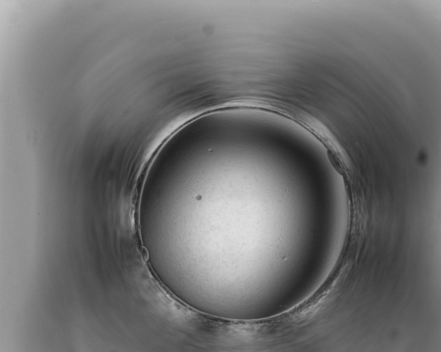X0000089360908200706221157
