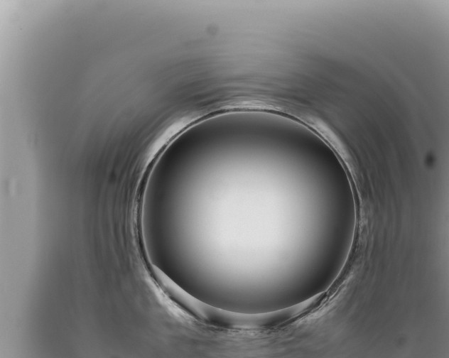 X0000089360909200706221157