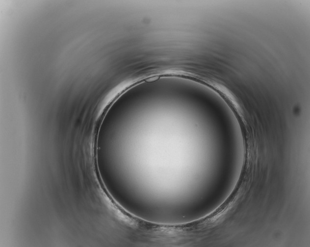 X0000089360910200706221157