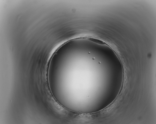 X0000089360912200706221157
