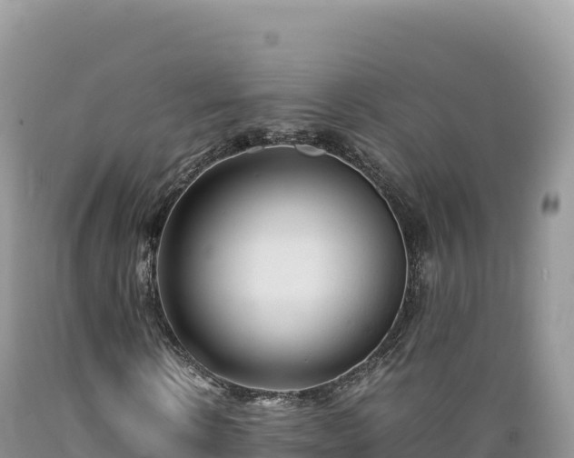 X0000089360914200706221157