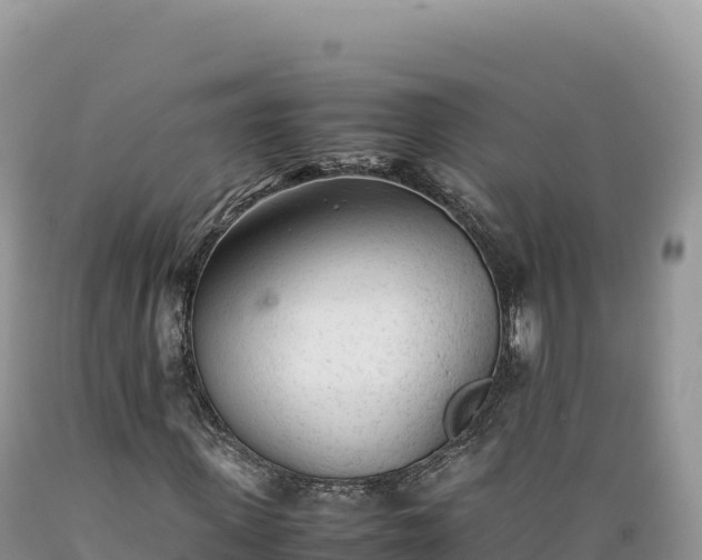 X0000089360915200706221157