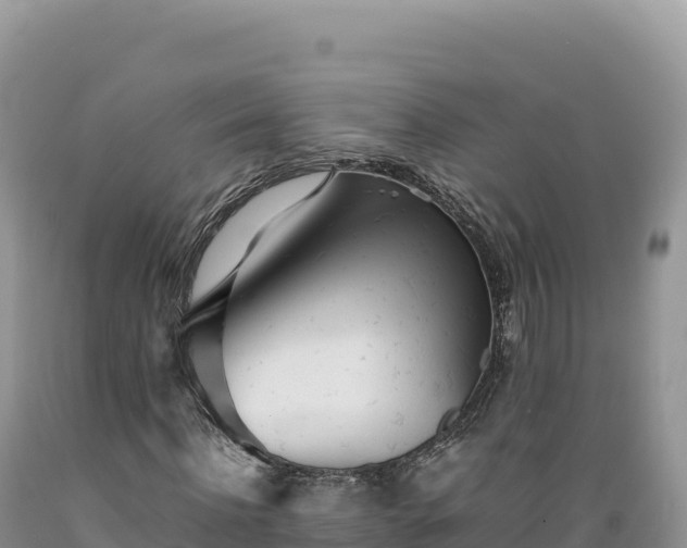 X0000089360916200706221157