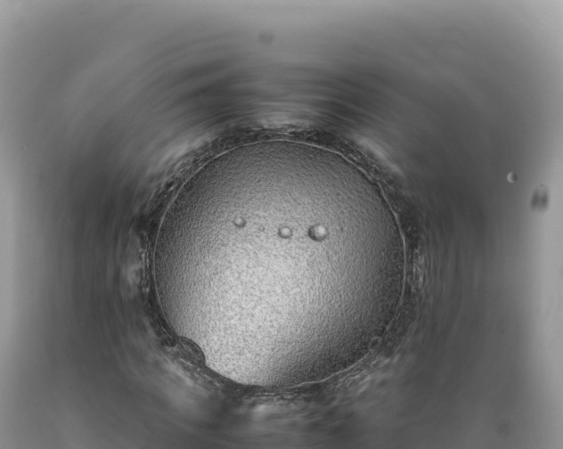 X0000089360917200706221157