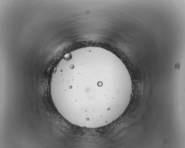 X0000089360918200706221157