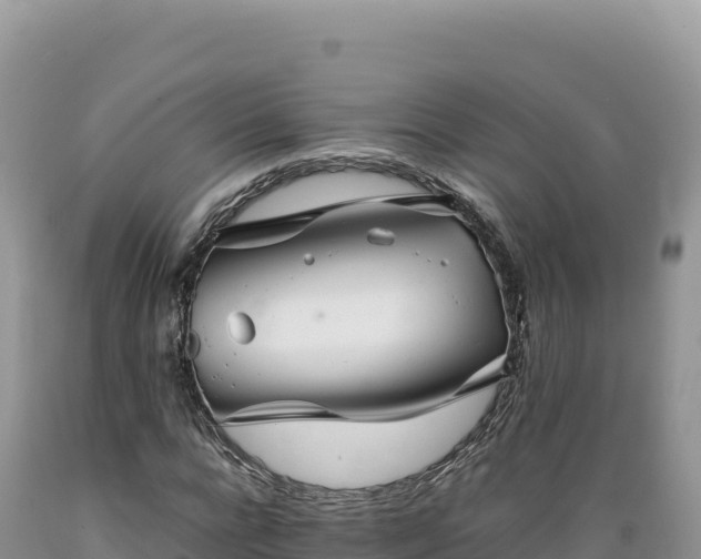 X0000089360920200706221157