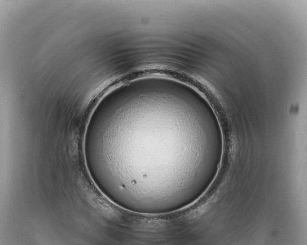 X0000089360921200706221157